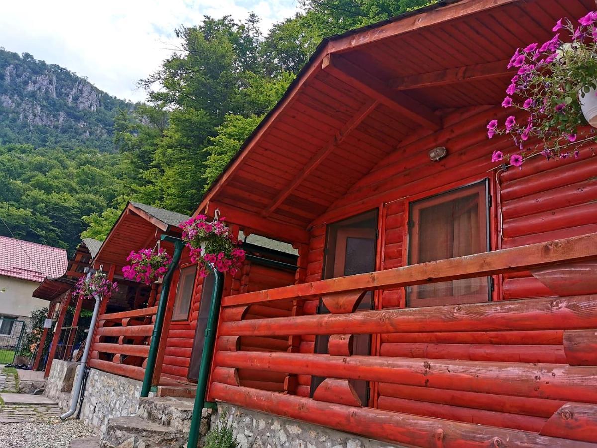 Villa Casa Beasarah. Dubova Exterior foto